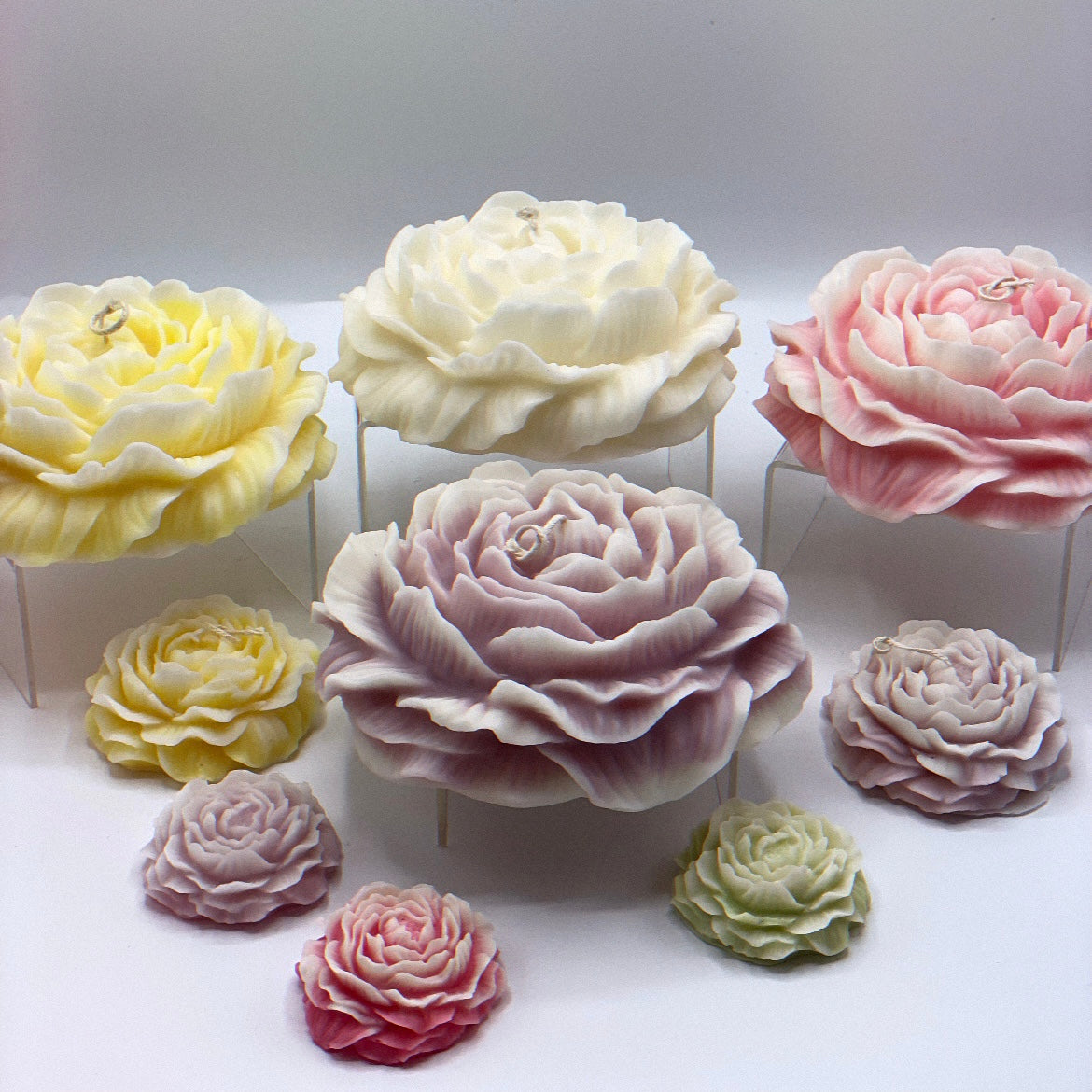 Peony Sculptèe